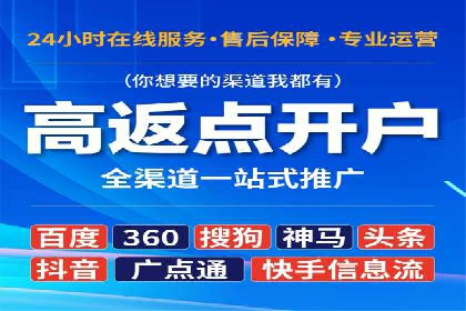 顶级SEM服务公司案例解析